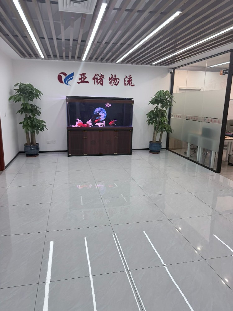 精准传译,跨文化搭桥——上海绎伽翻译助力中法汽车企业深度对接